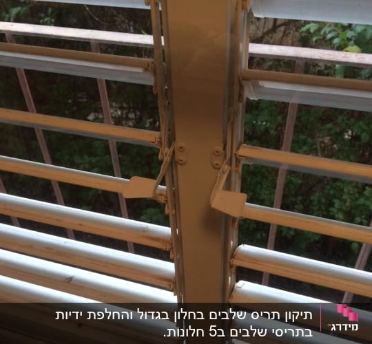תריסים לבנים עם ידיות פתיחה